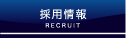 採用情報